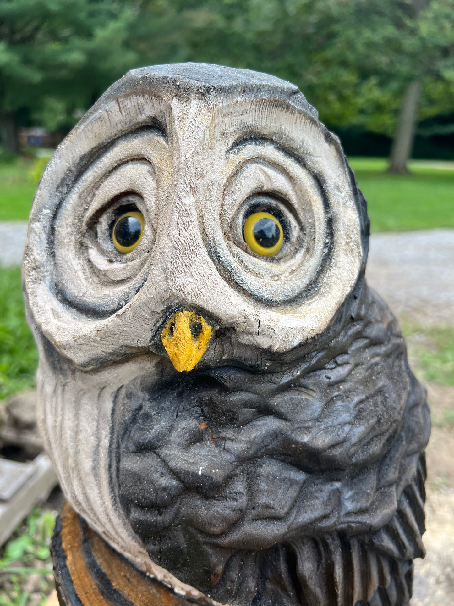 Owl