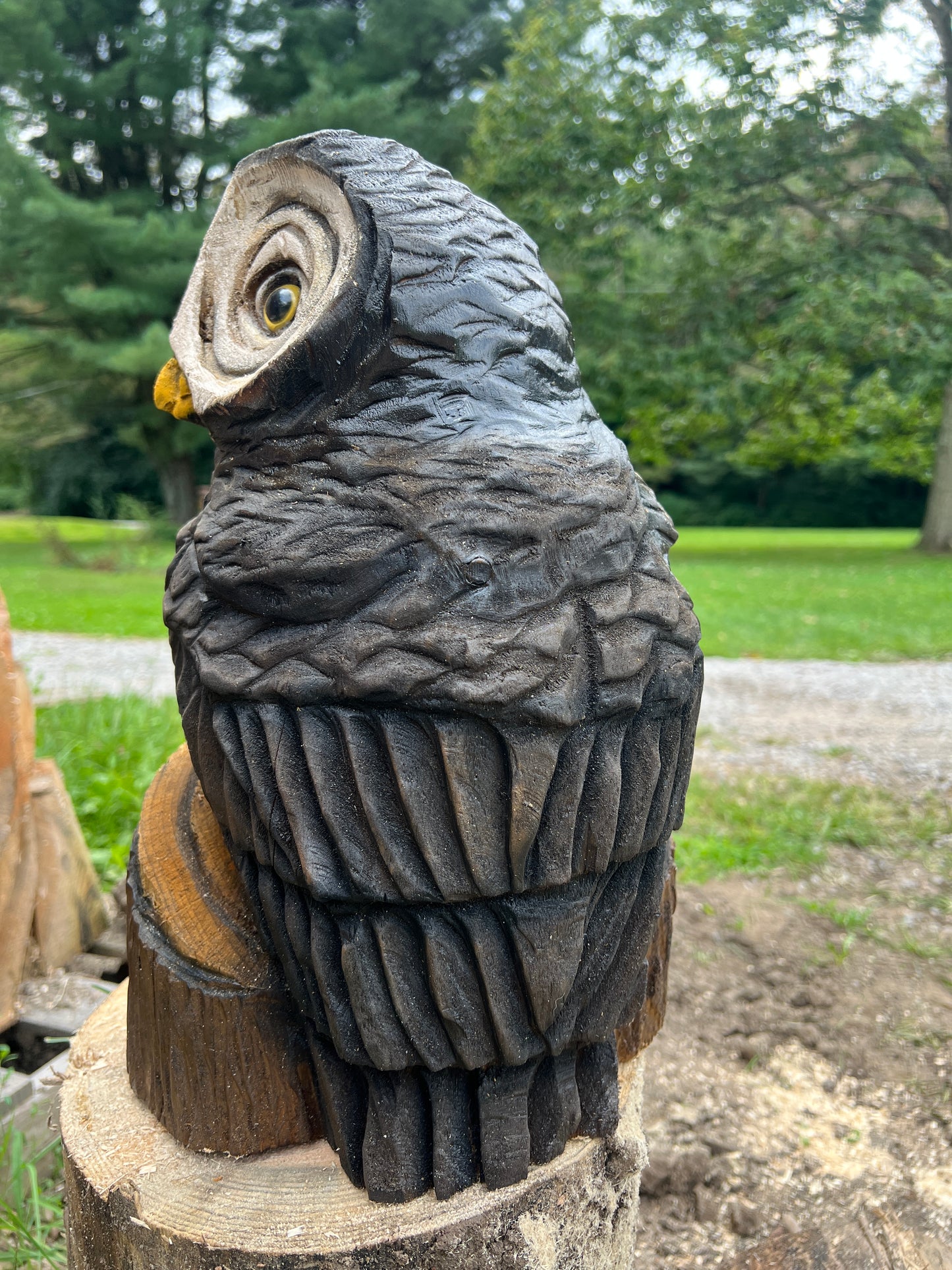 Owl
