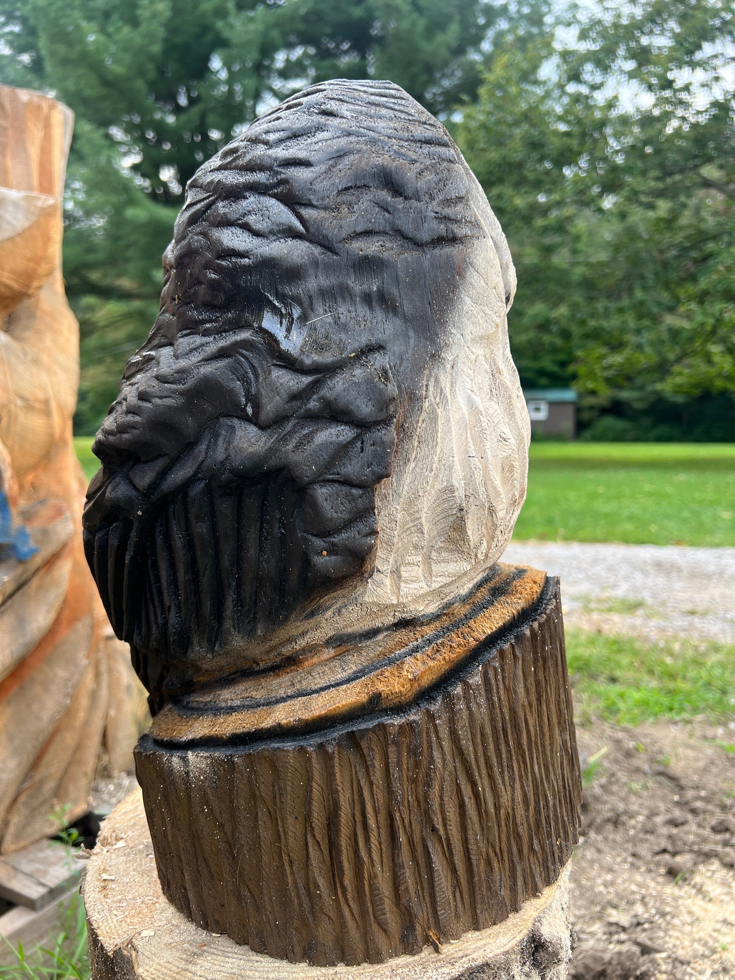 Owl