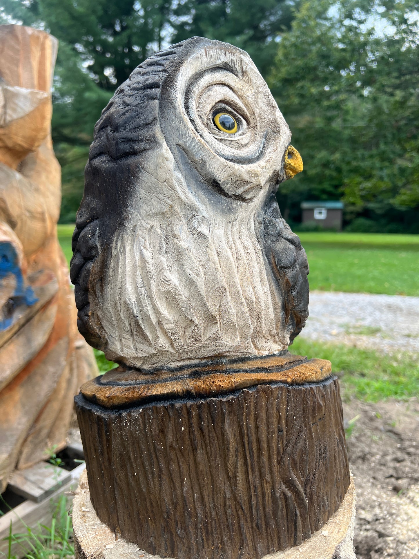 Owl