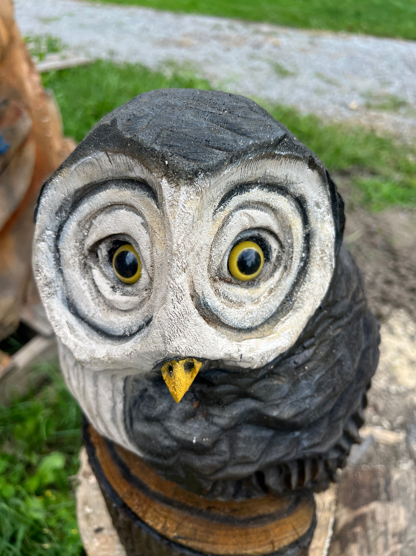 Owl