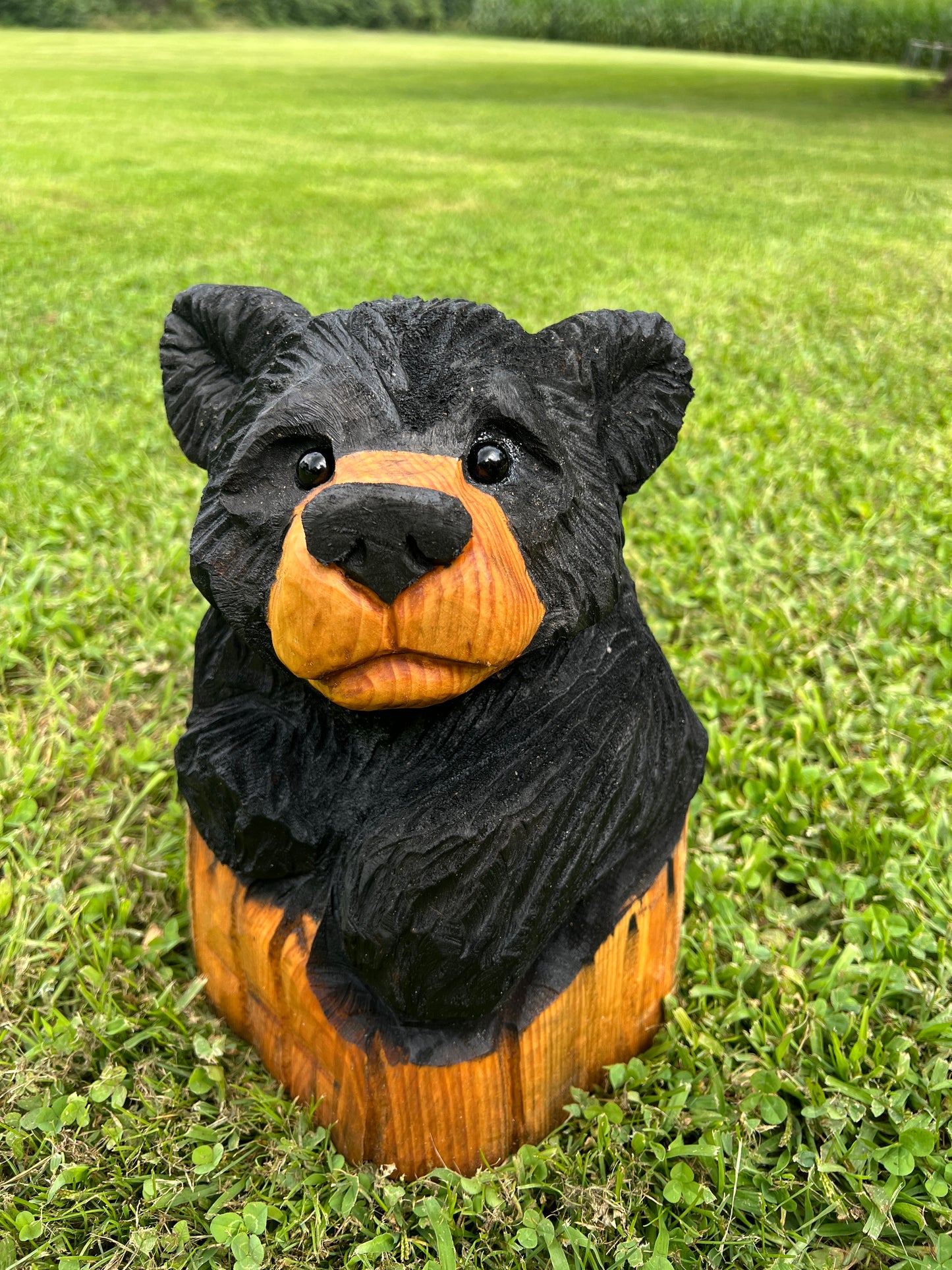 Cub Bear in Log