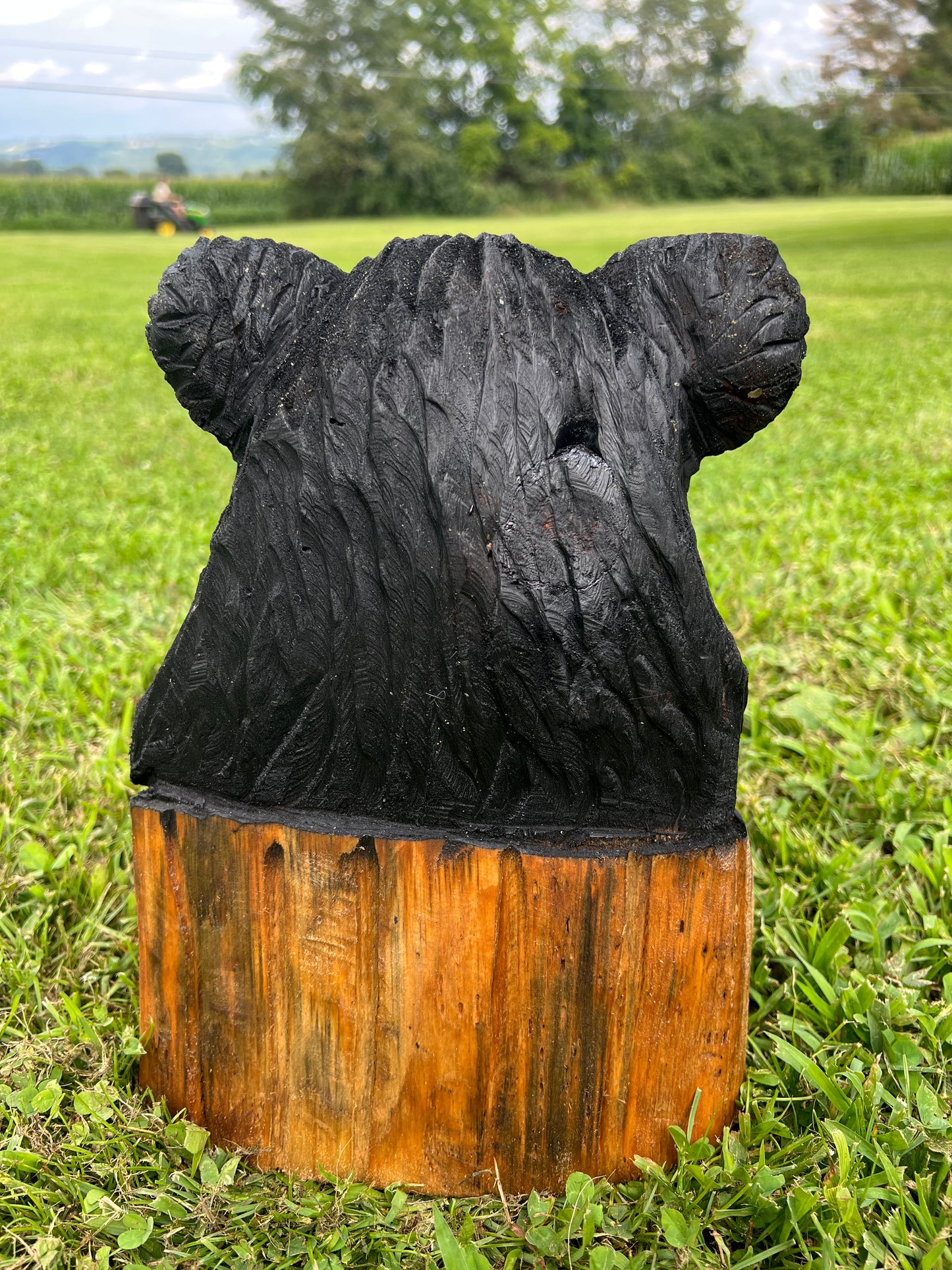 Cub Bear in Log