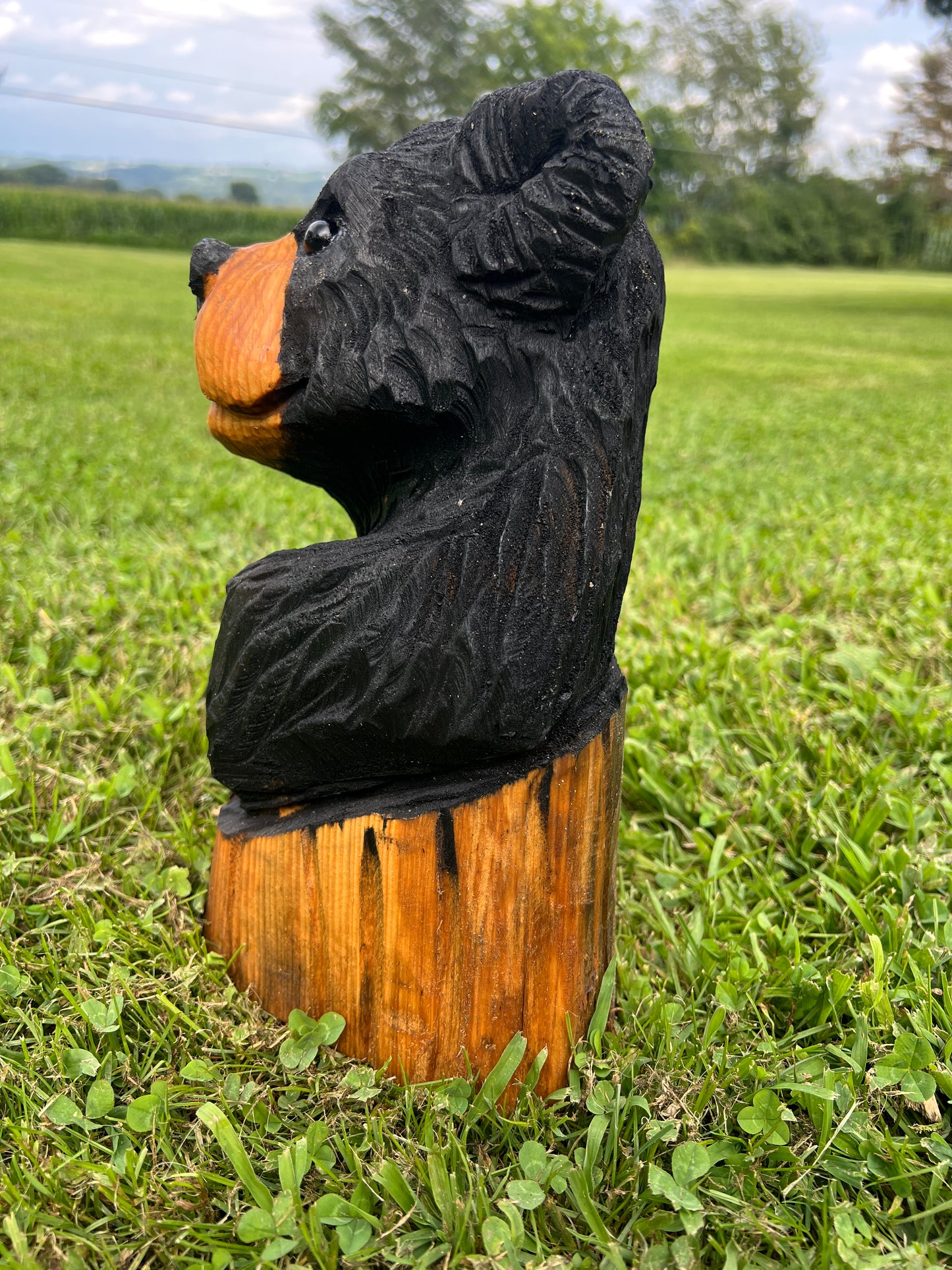 Cub Bear in Log