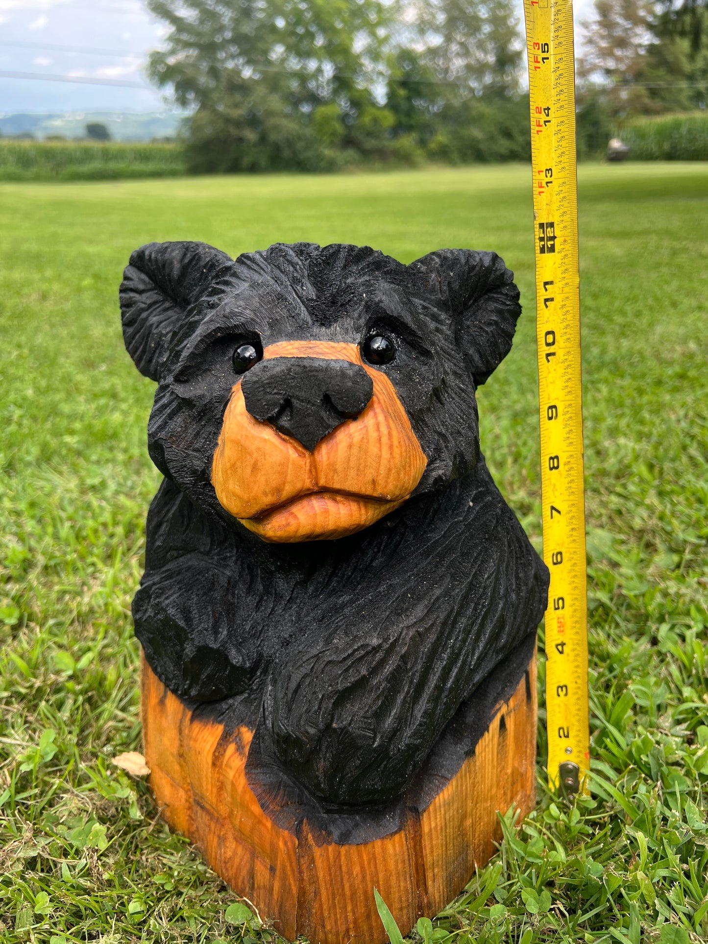 Cub Bear in Log
