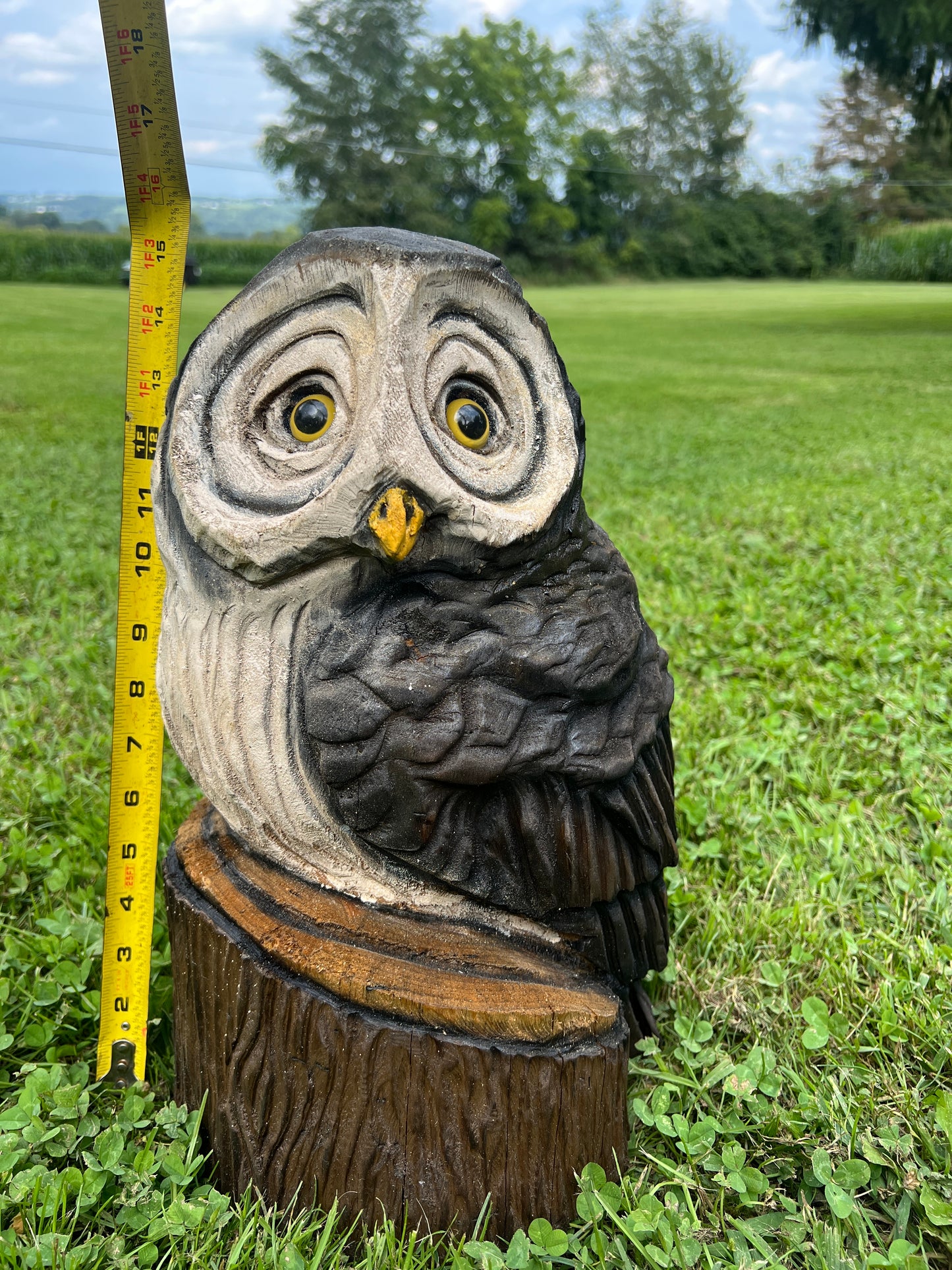 Owl