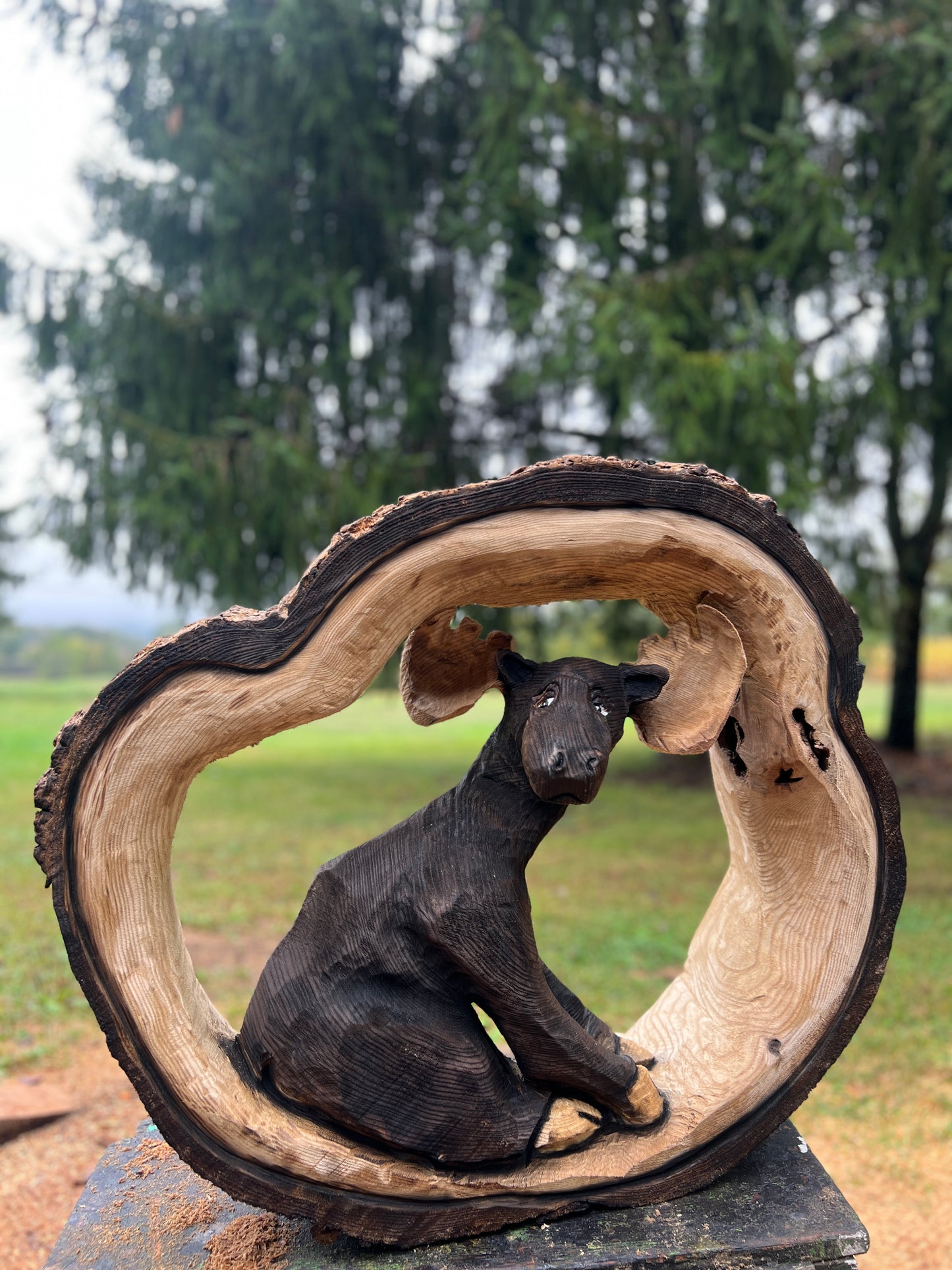 Chainsawjenna Moosey- made out of catalpa