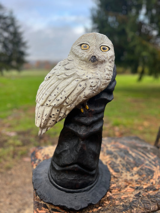 ChainsawJenna Owl on Hat