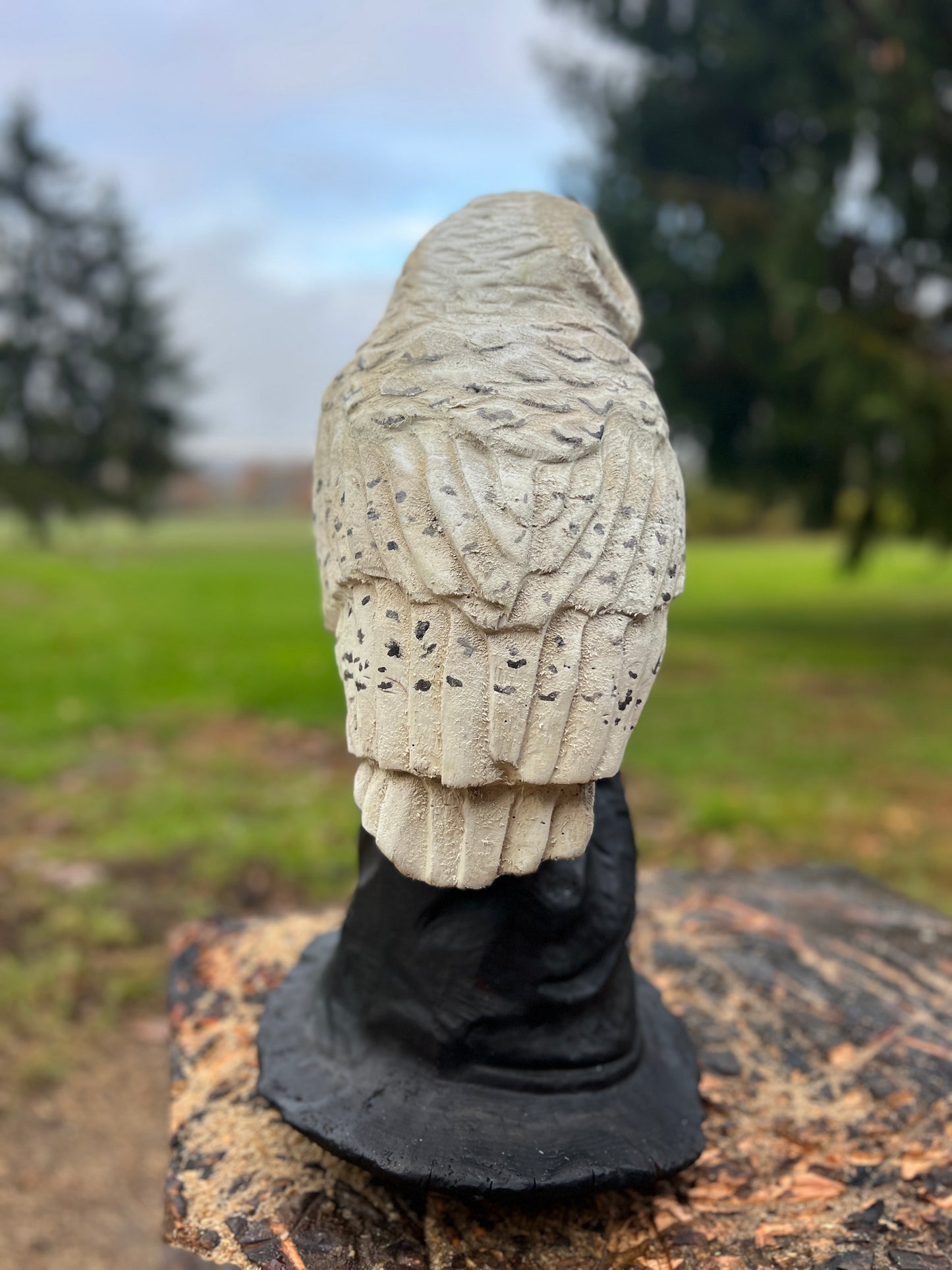 ChainsawJenna Owl on Hat