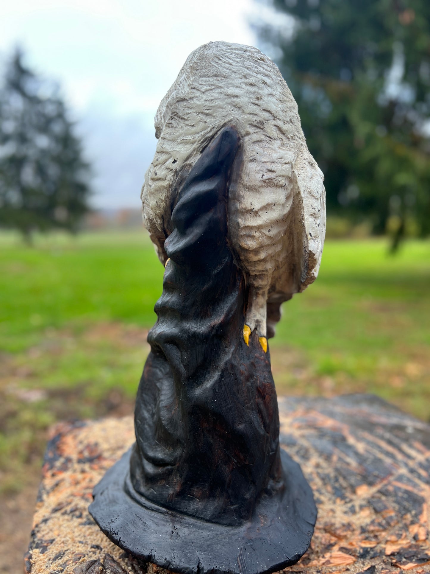 ChainsawJenna Owl on Hat