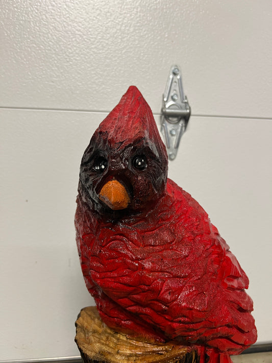 Red Cardinal