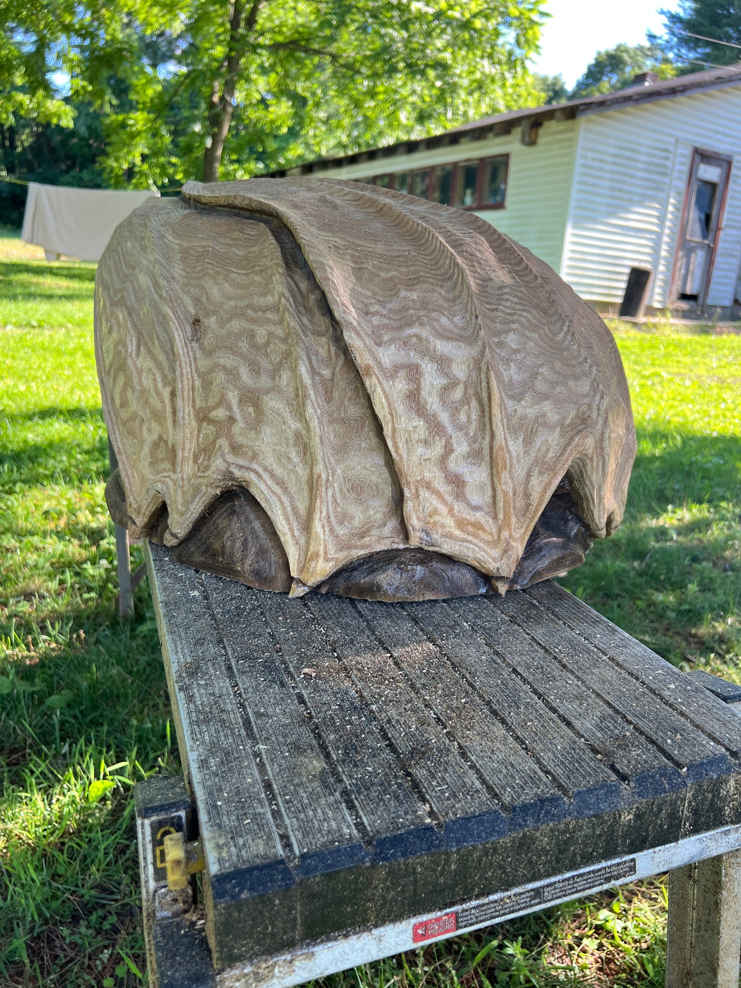 Hand-Carved Catalpa Wood Dragon
