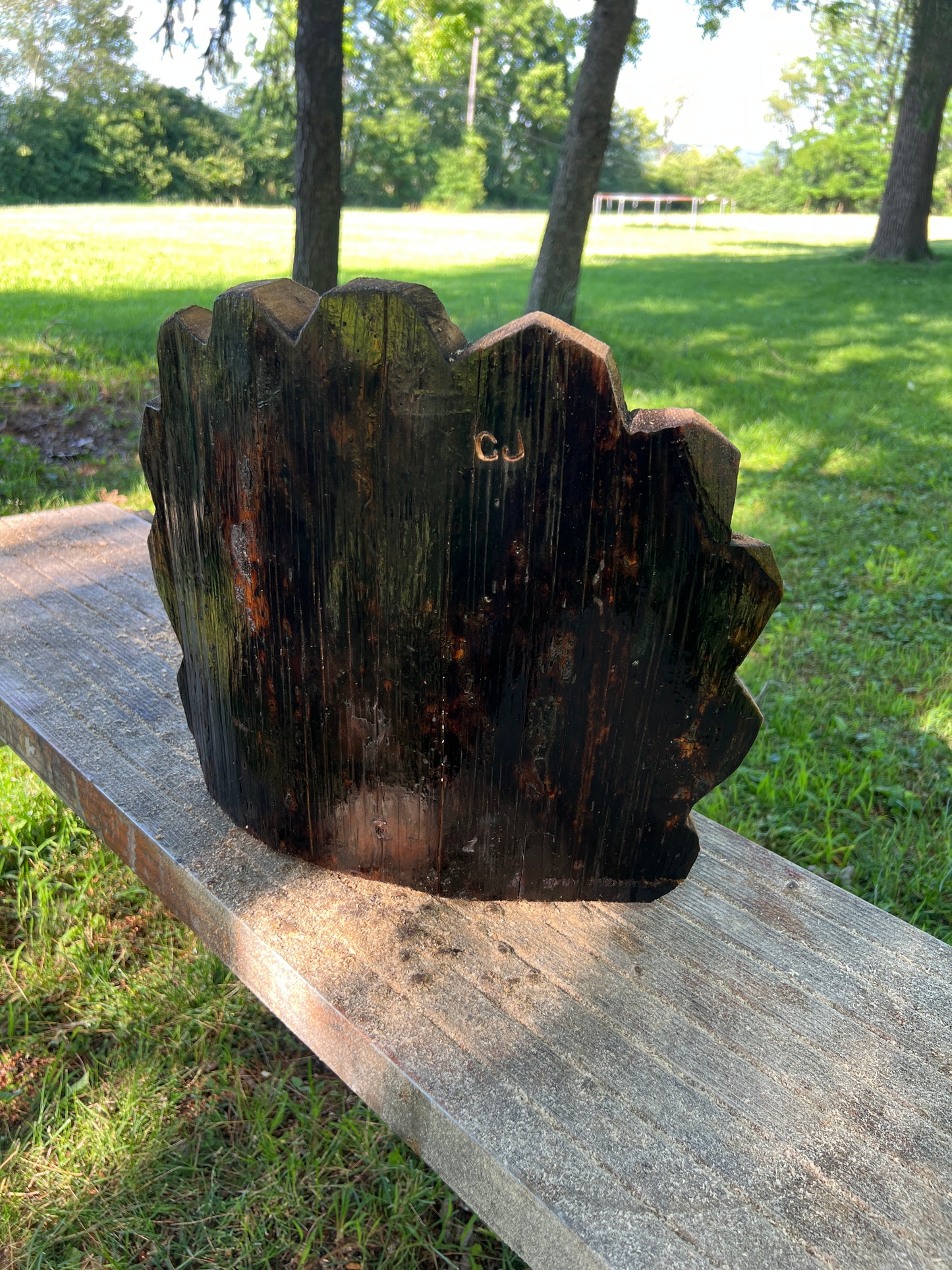 Hand-Carved Mini Triceratops Head