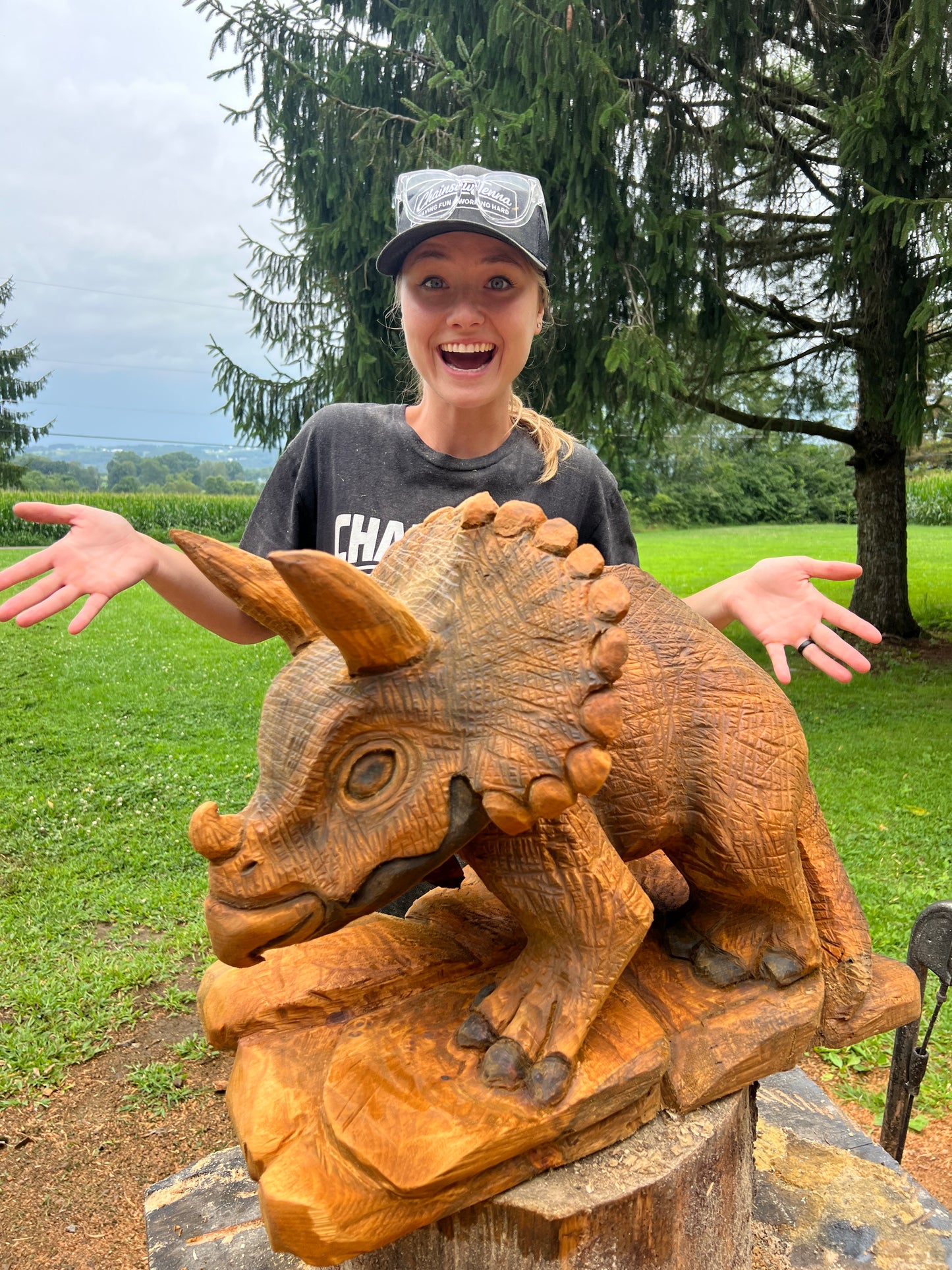 Hand-Carved Full Body Triceratops